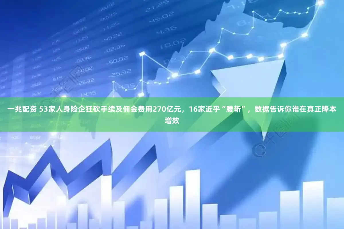 一兆配资 53家人身险企狂砍手续及佣金费用270亿元，16家近乎“腰斩”，数据告诉你谁在真正降本增效